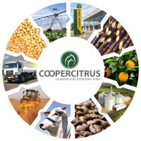 coopercitrus